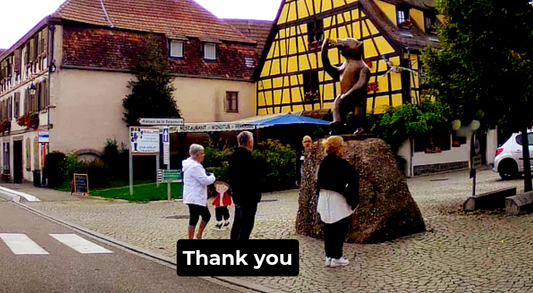 Andlau Bear Thank You Video Greeting