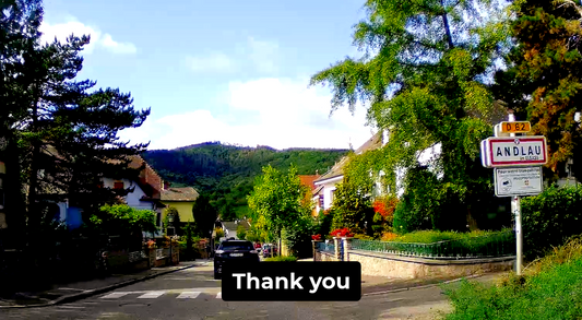 Thoughtful Think Thank You Video Greeting