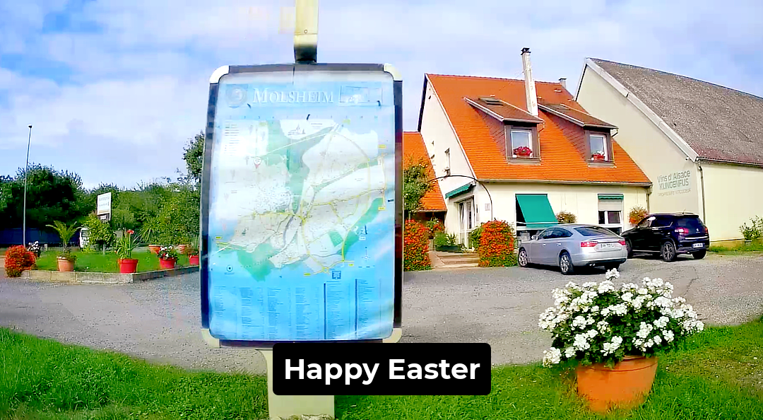 Wine Route Map Easter Video Greeting